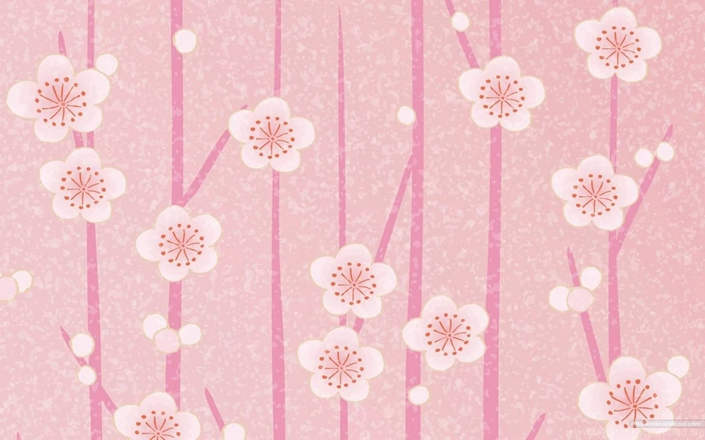 Light Pink Flower Wallpapers Wallpapers Cave