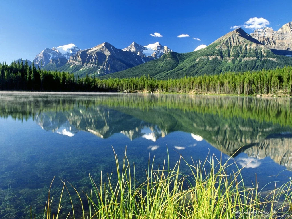 Free Hd Wallpapers Mobile Download 3D