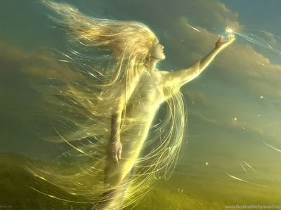 Beautiful HD Wallpapers