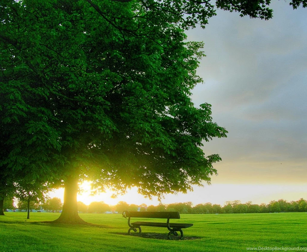 Wallpapers Art   Part 2