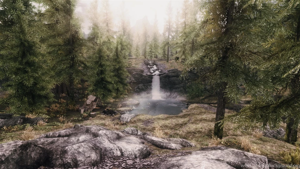 A creek into a waterfall into a pond in a forest a very beautiful area wallpaper.jpeg