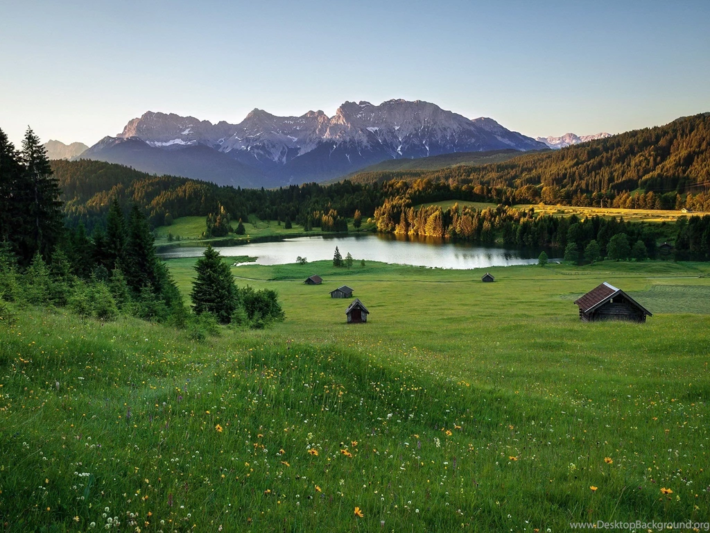 Lake Forest Very Beautiful Flower Mountain Tree Home Wallpapers ...