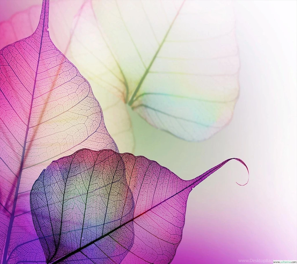 My Image 24