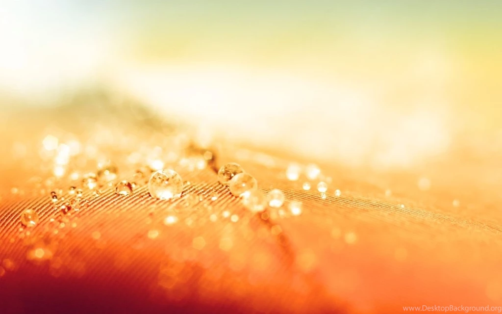Nature Archives Page 3 Of 15 HD Wallpapers Source