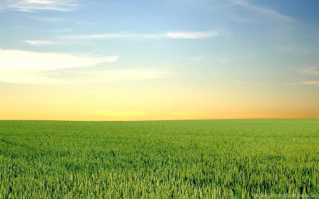 Daily Wallpaper: Green Fields And Blue Skies