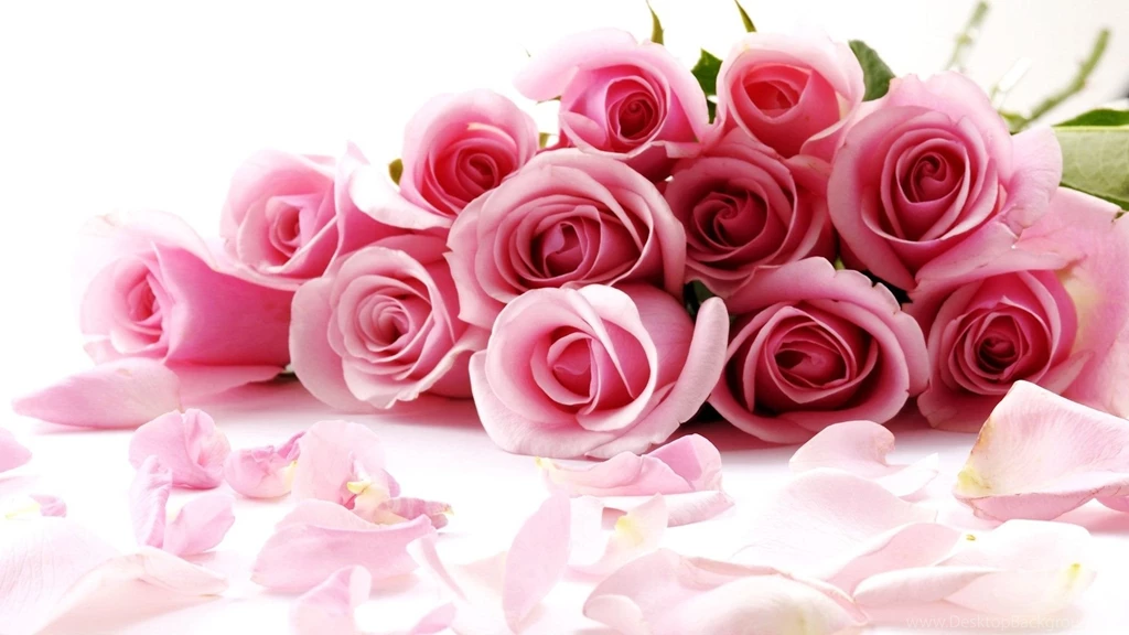 Valentine's Wallpapers