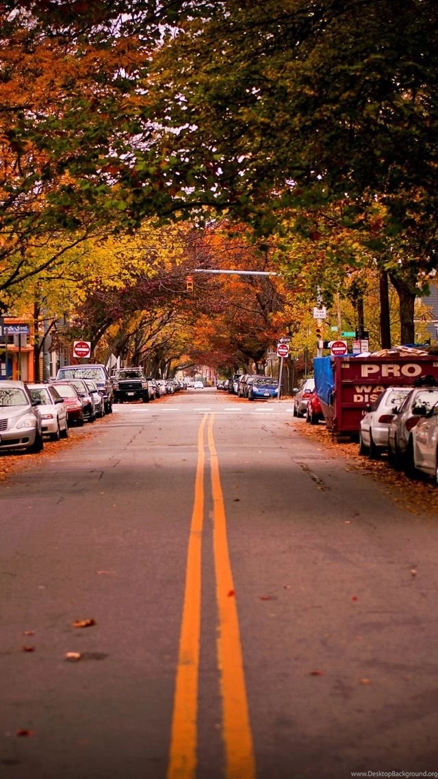 Autumn iPhone 5s Wallpapers