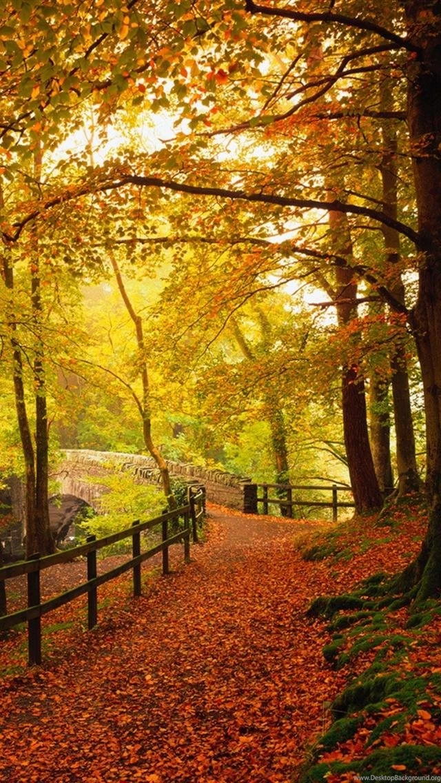 Iphone 5 wallpapers hd 2842 zaxdq.jpg