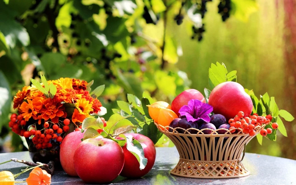 Food HD Wallpaper, Food Images Free