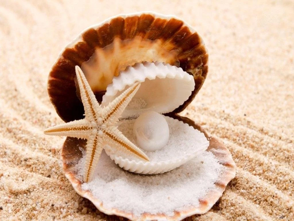 Best Wallpapers For Mobile Free Download (14) Pleasantwalls.com ...