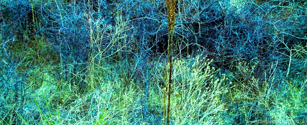 January Is Warm–and Arty