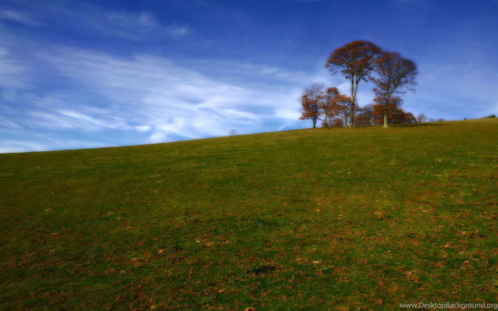 Indian Tree Hill Wallpapers
