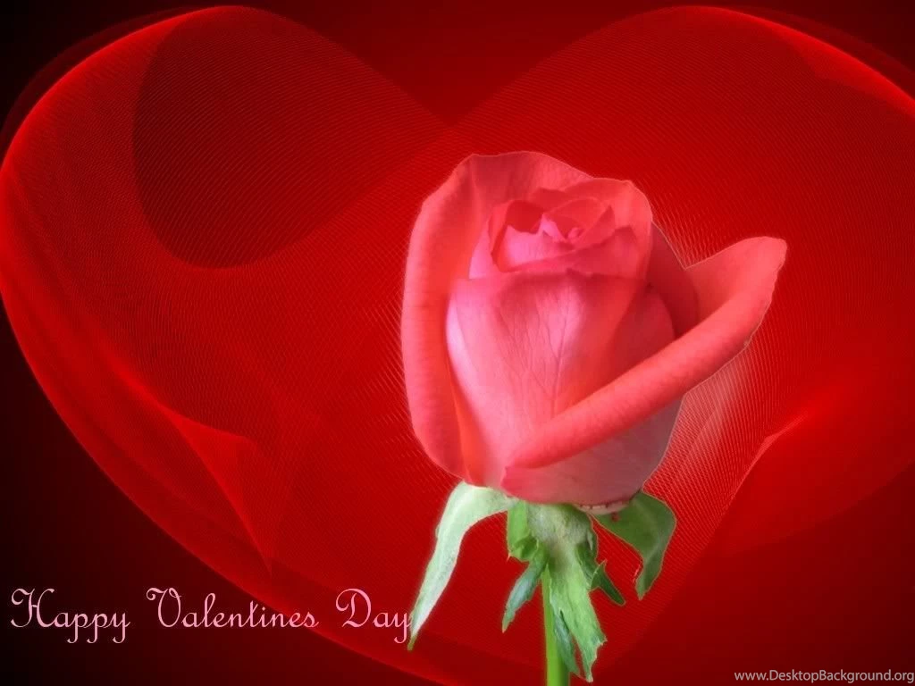 Valentine Wallpapers Free Download – Valentine Week 2016