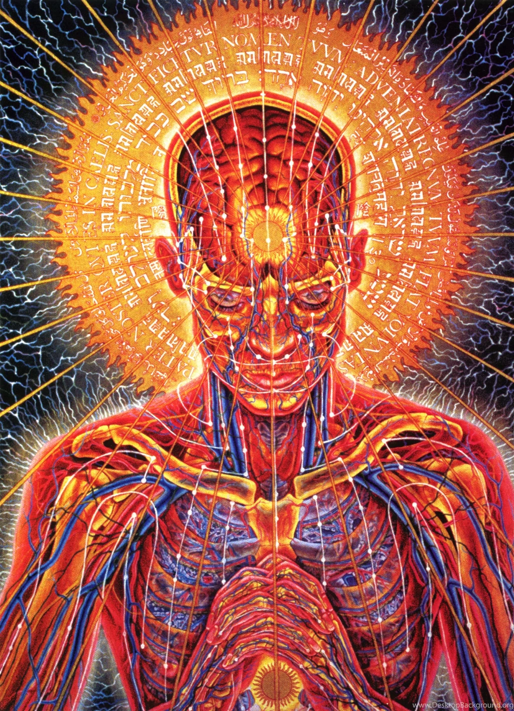 Tool Anatomy Psychedelic Third Eye