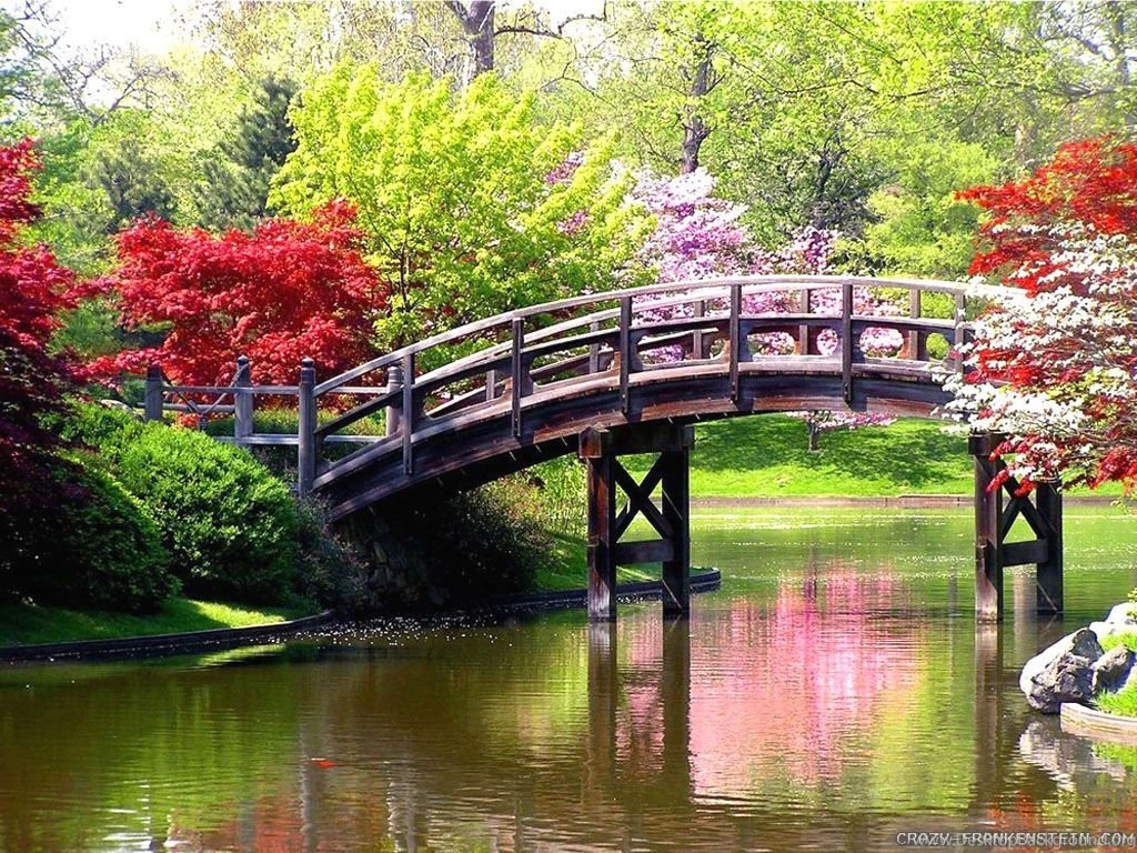 Spring Scene Wallpapers Crazy Frankenstein