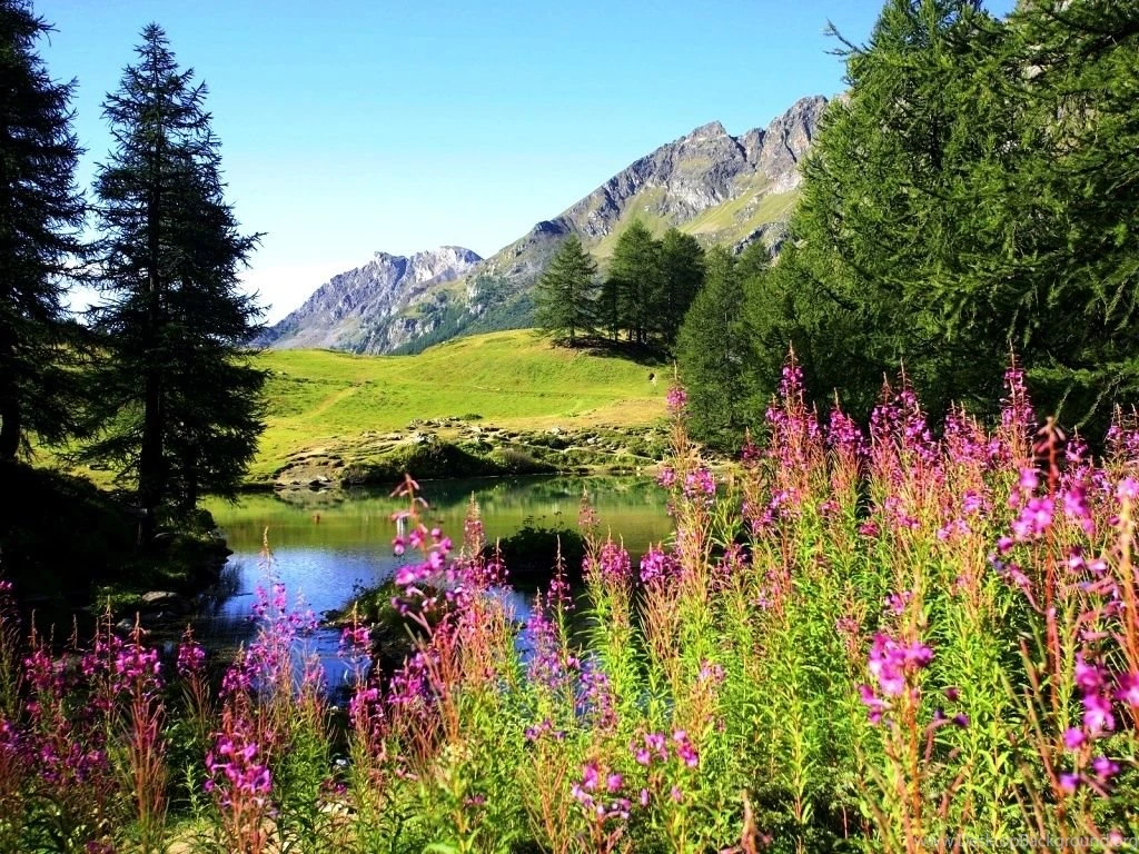 Spring Scenes Desktop Wallpapers HD Wallpaper Backgrounds Of ...