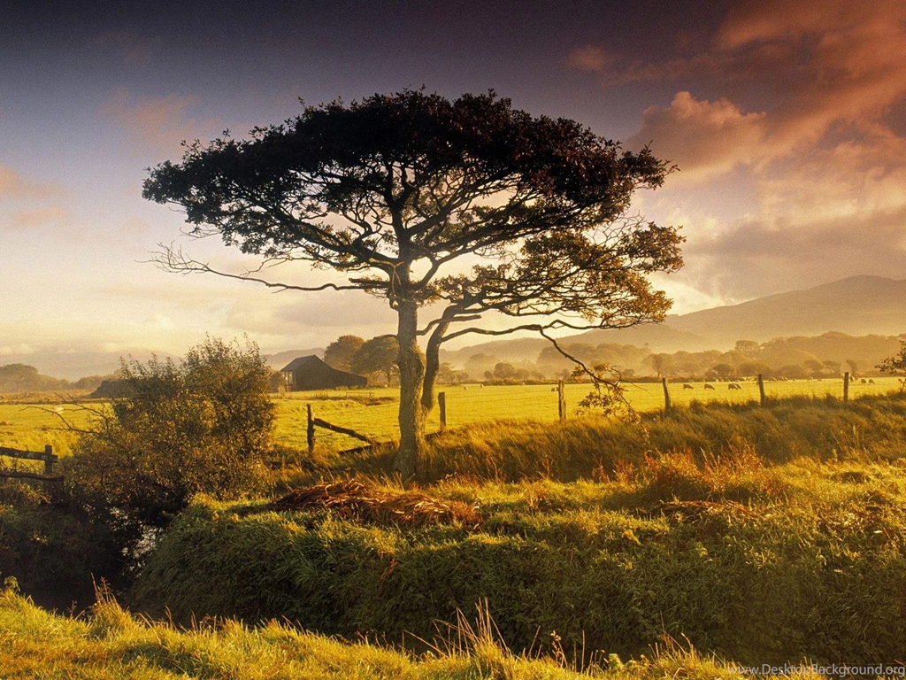 Spring Scenes Desktop Wallpapers ~ Toptenpack.com