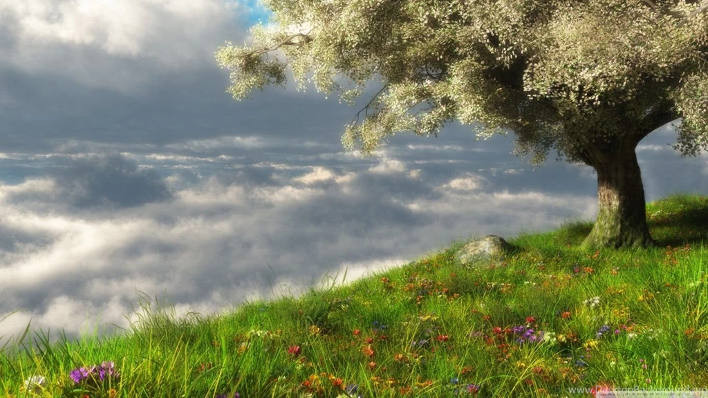 Spring 3D Scene HD Desktop Wallpapers : High Definition ...