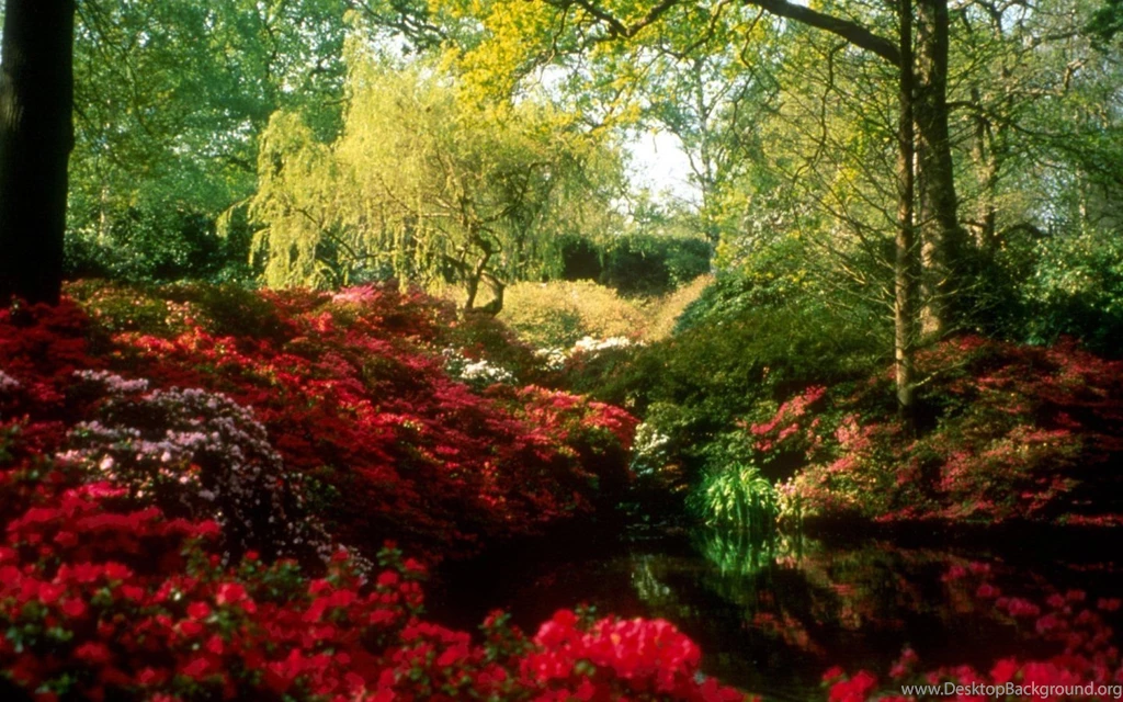 Spring Scenes Pictures Wallpapers HD Base