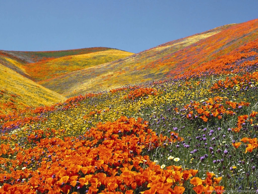 Spring Scenes Desktop Wallpapers ~ Toptenpack.com