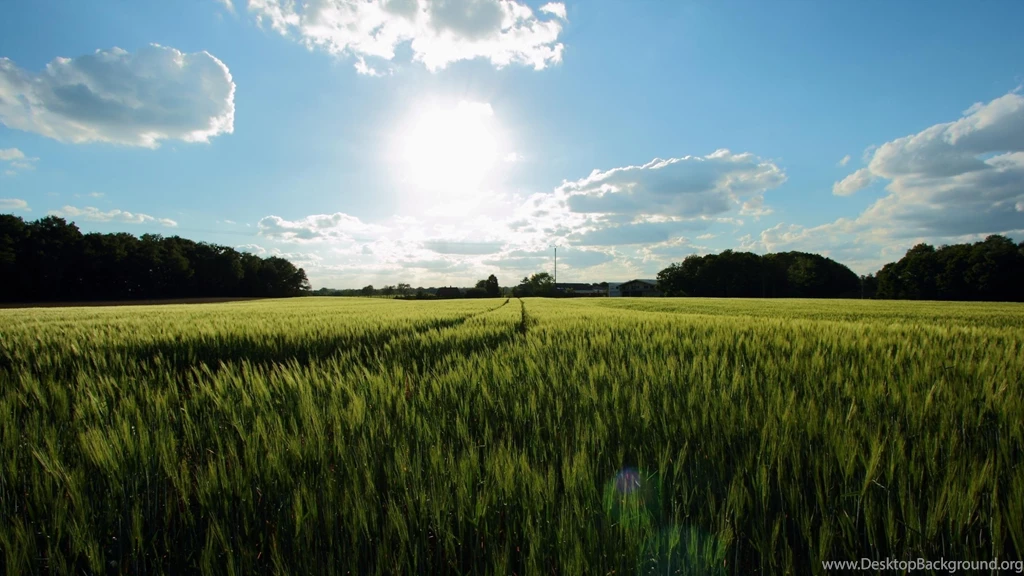 Spring Scene Wallpapers   1445302