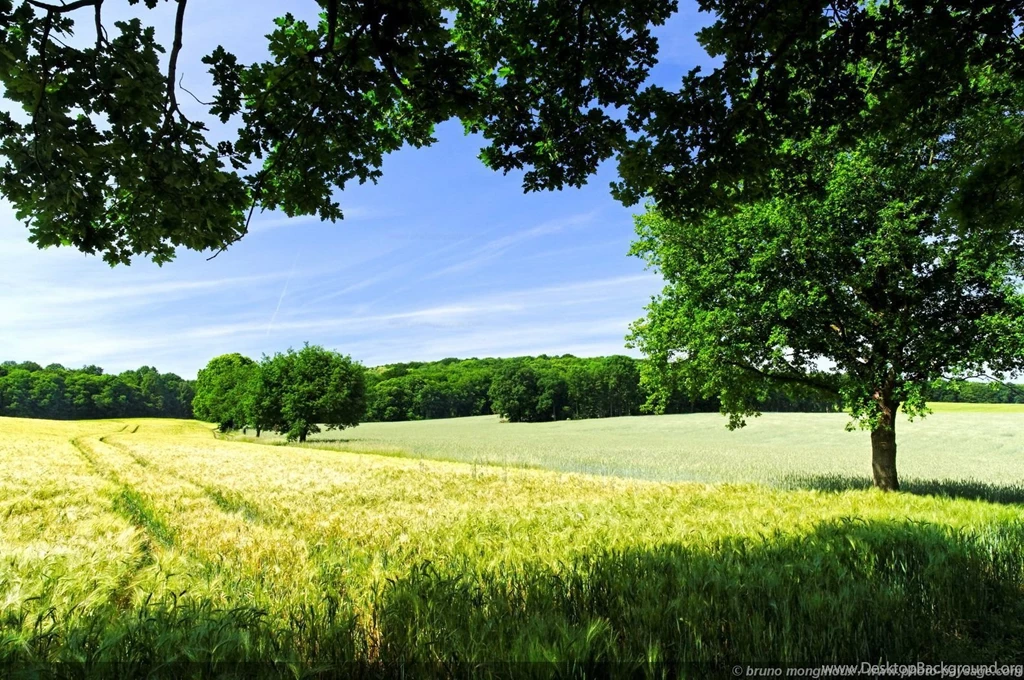 Spring Nature Pictures   Wallpapers High Definition