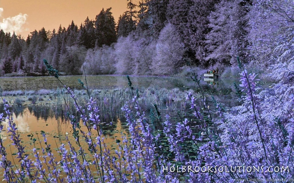 Spring Scene Wallpapers (