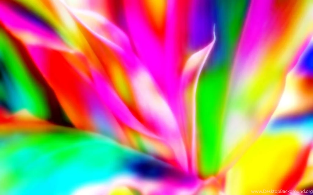 1024x640px Colorful Images Soft Petals