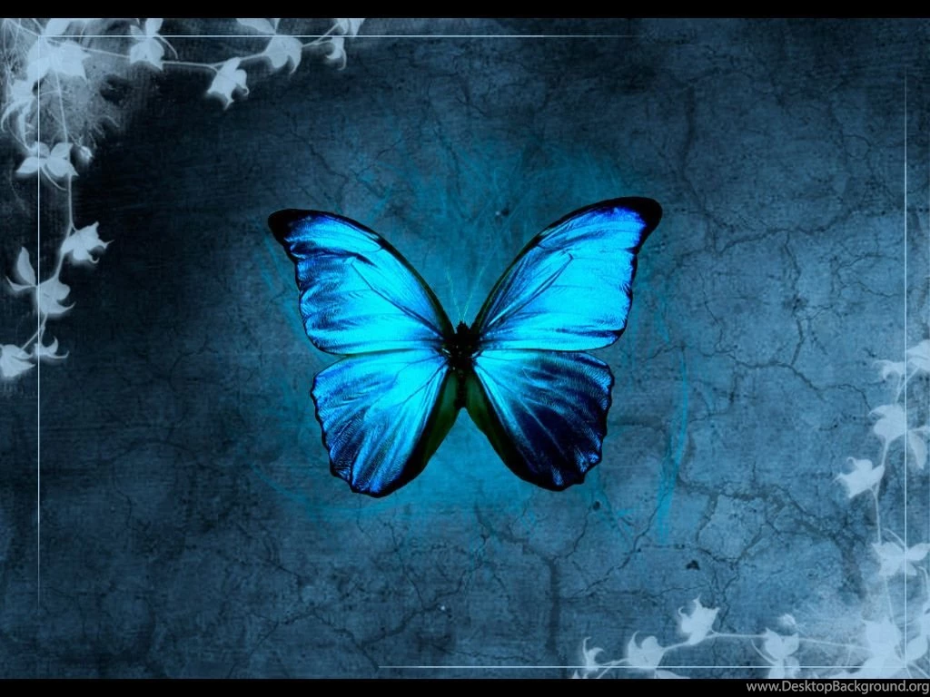 Blue Butterfly Wallpapers Wallpapers Cave