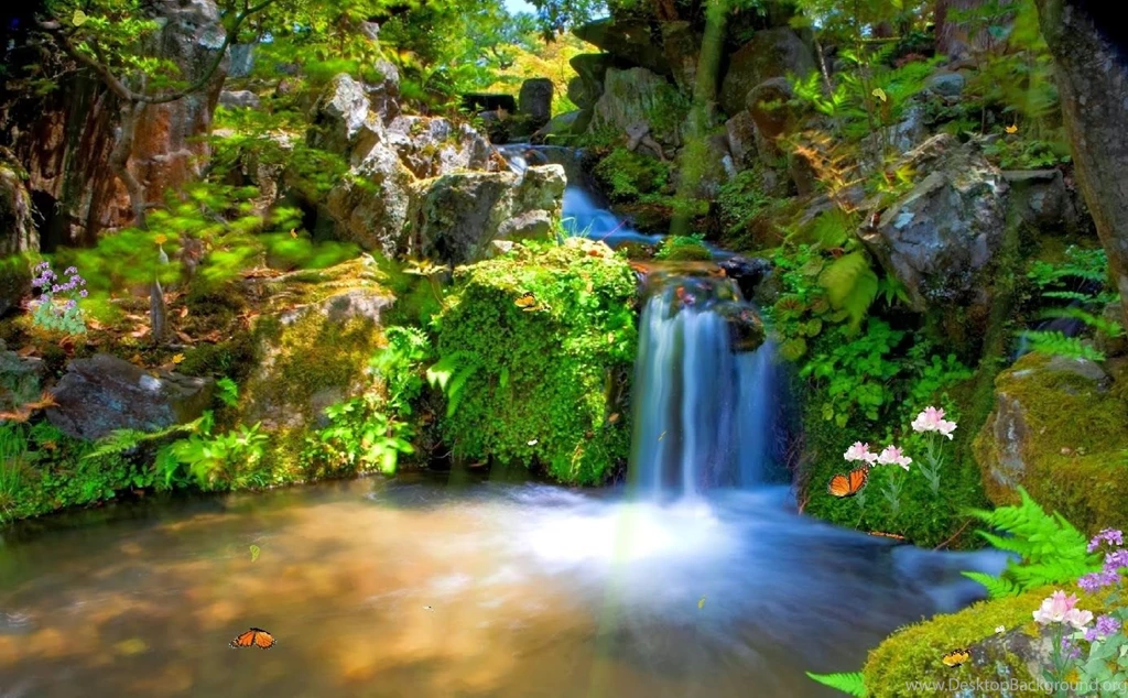 Photo Gallery : Animated Wallpapers Free Downloade Desktop Photo ...