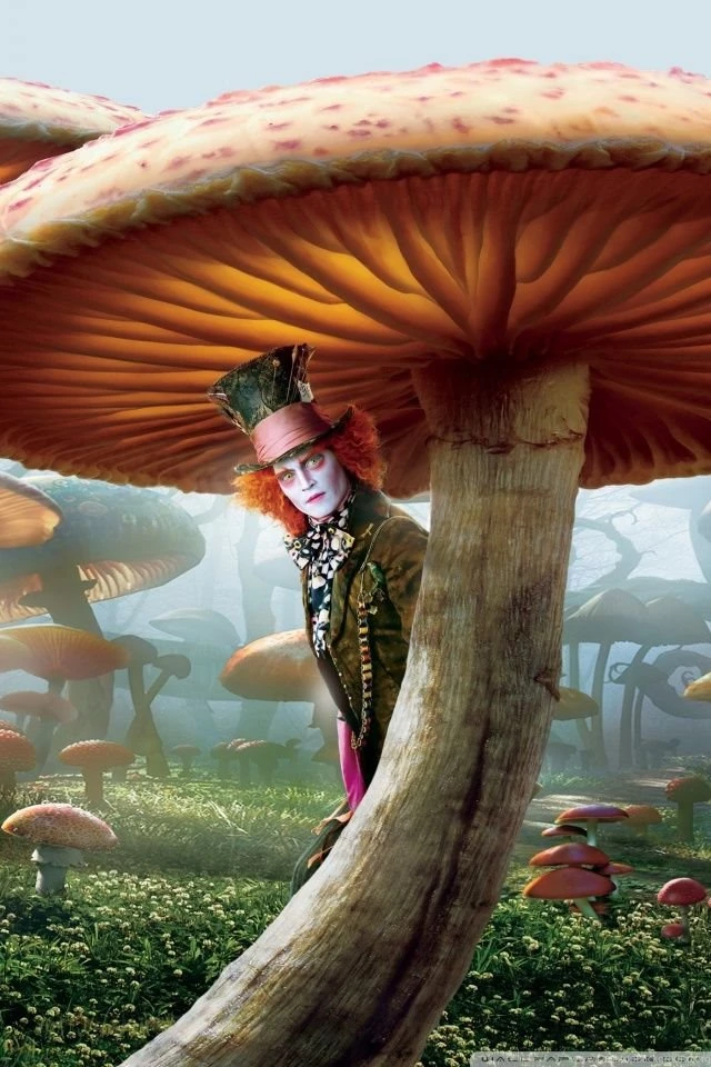 Mad Hatter, Alice In Wonderland HD Desktop Wallpapers : Widescreen ...