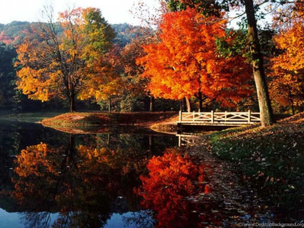 Fall Photos Free Wallpapers HD Base