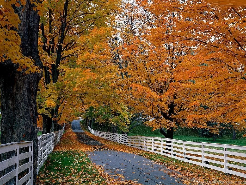 Fall Autumn Wallpapers HD Wallpapers Lovely