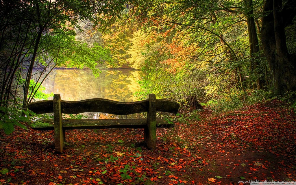 Autumn Free Wallpapers Empty Bench In Fall Scene Wallpapers HD ...