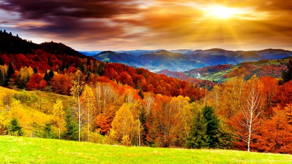 Free Fall Desktop Backgrounds Desktop Backgrounds