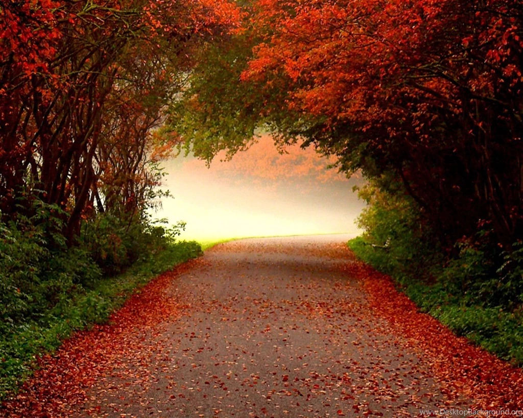 Free Wallpapers For Fall Wallpapers Cave