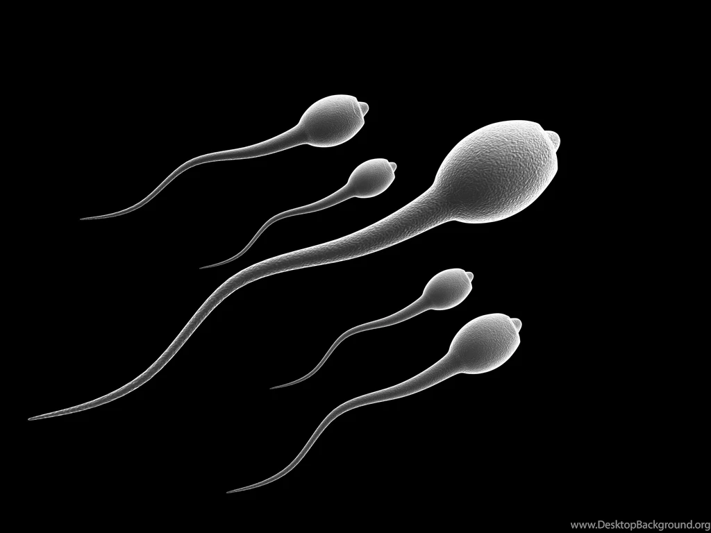 Sperm Abstraction Abstract Bokeh Life Sex Sexual Medical Dna Male ...