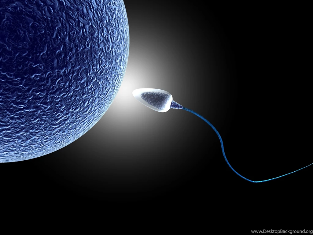 Sperm Abstraction Abstract Bokeh Life Sex Sexual Medical Dna Male ...