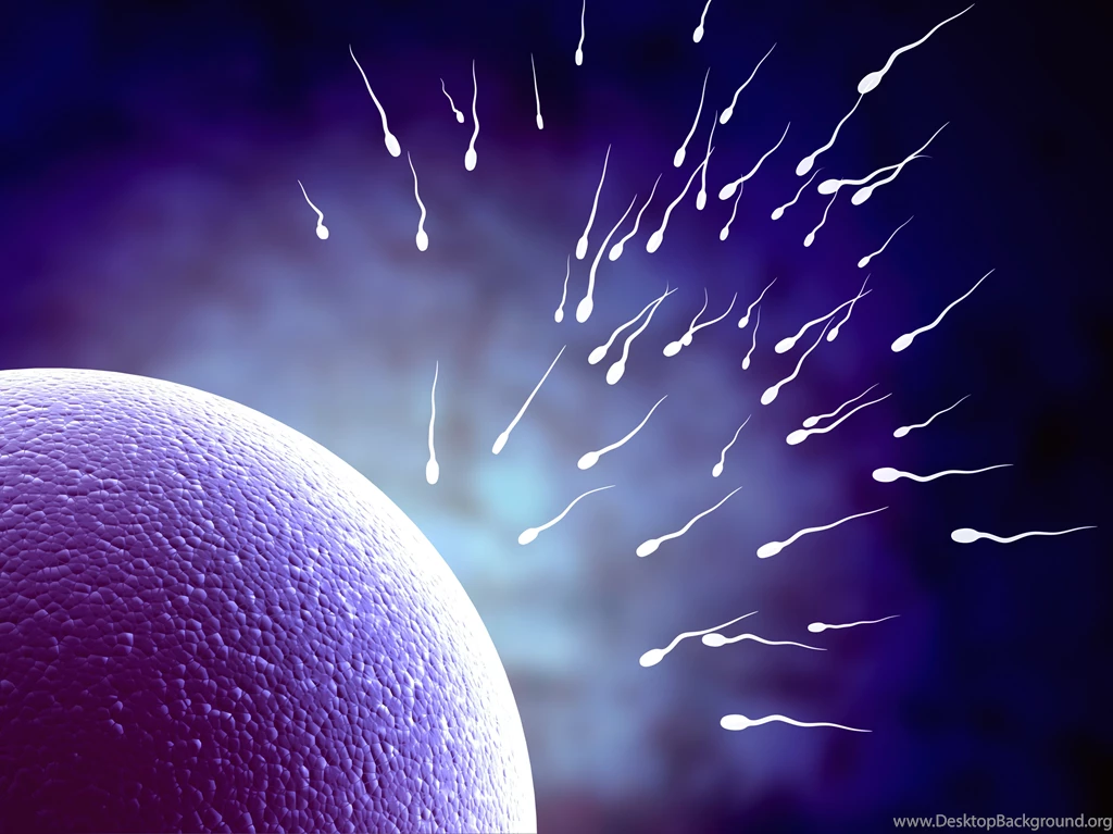 Sperm Abstraction Abstract Bokeh Life Sex Sexual Medical Dna Male ...