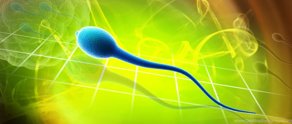 Sperm Abstraction Abstract Bokeh Life Sex Sexual Medical Dna Male ...