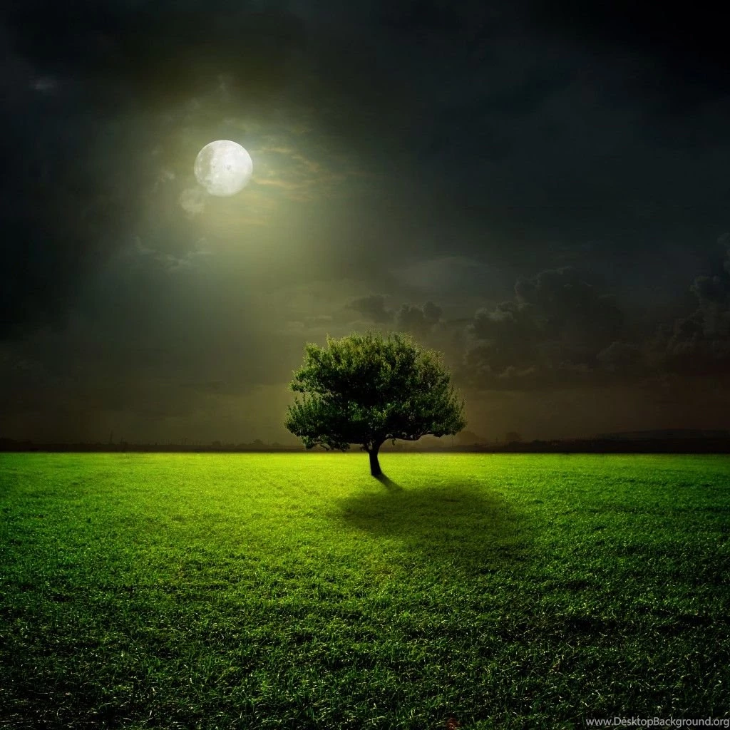 Wallpapers Moon, Moonlight, Field, Tree, Grass, Night, Sky, Green ...