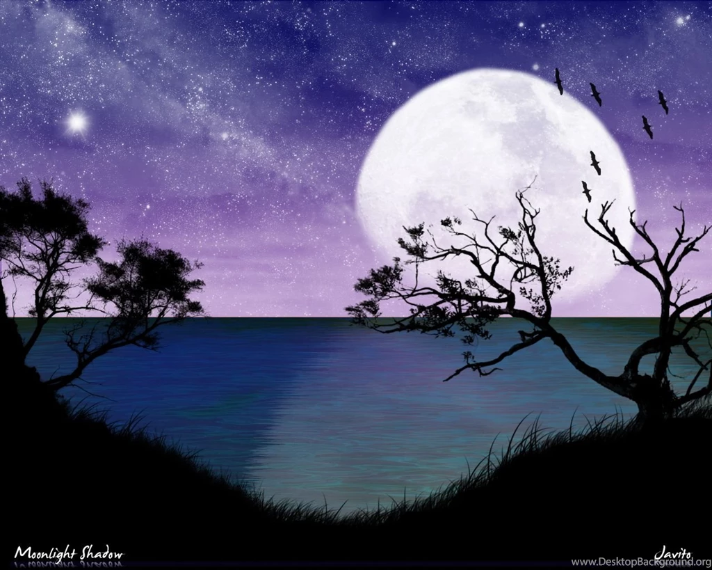 Pictures > Romantic Moonlight