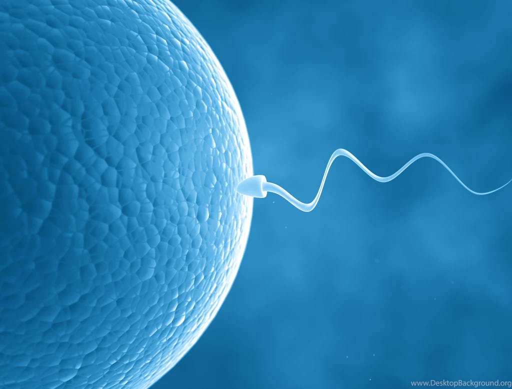 Sperm Abstraction Abstract Bokeh Life Sex Sexual Medical Dna Male ...