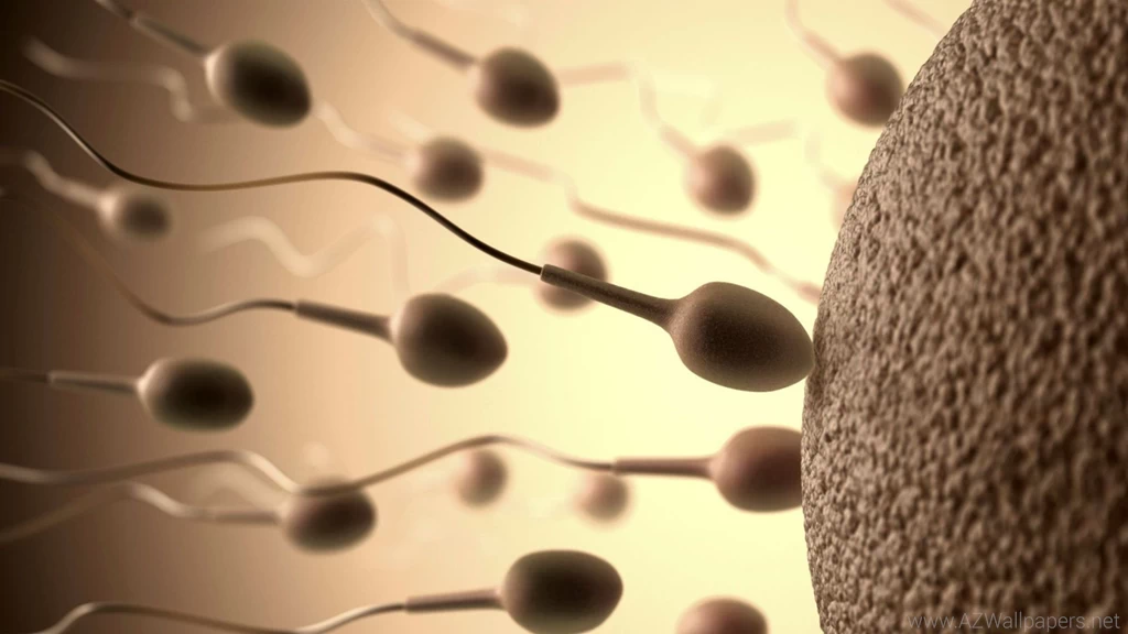 Sperm Abstraction Abstract Bokeh Life Sex Sexual Medical Dna Male ...