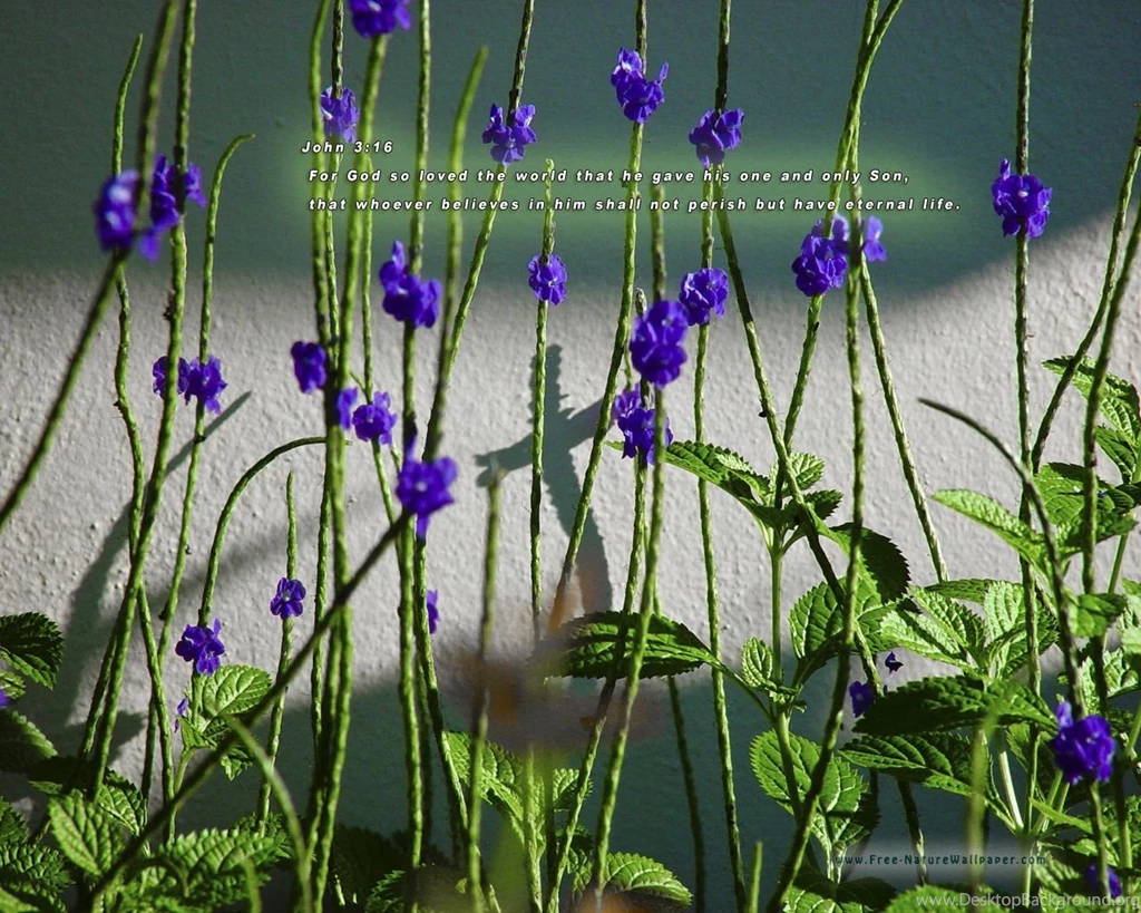 Christian Quotes Wallpapers   Wallpapers Cave