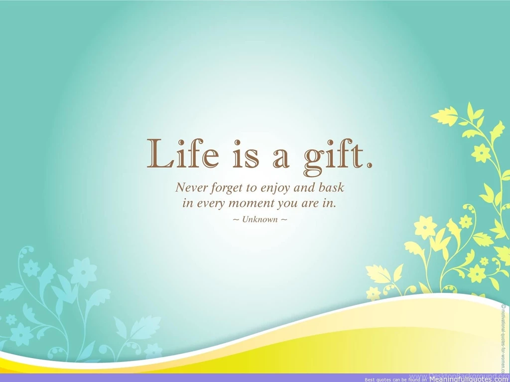 3396 cute life quotes.jpg