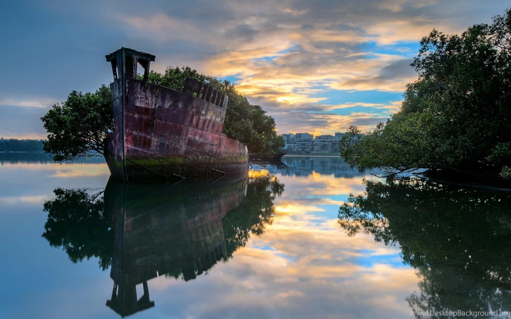 Shipwreck Trees On Sunset Waters >> HD Wallpaper, Get It Now!