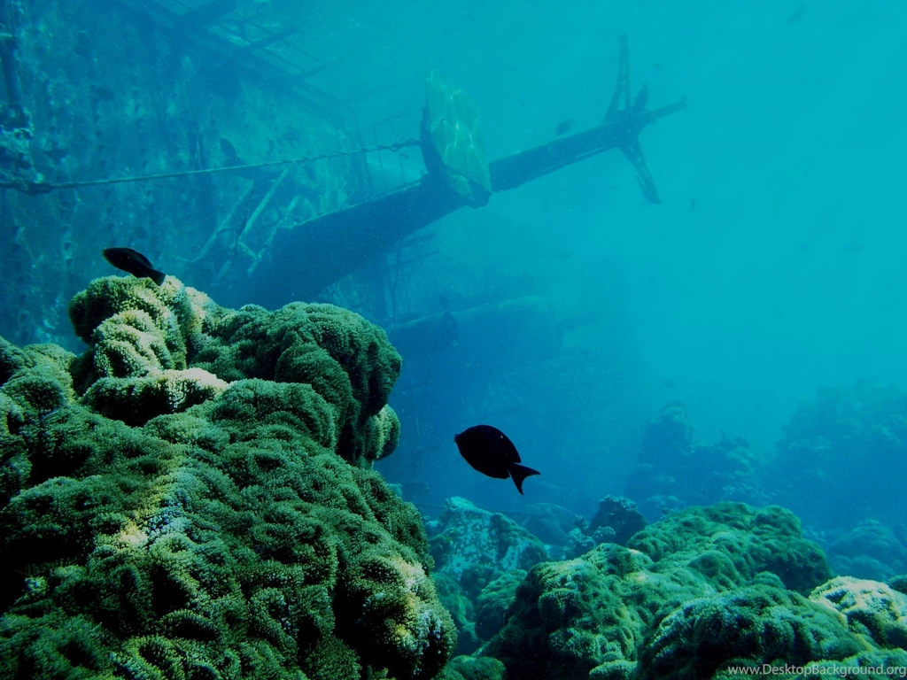 Shipwreck — Recipes Hubs