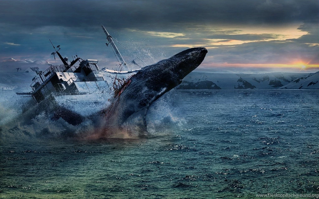 Sea Ship Whales Whale Ocean Shipwreck Ship Ships Boat Boats Blood ...