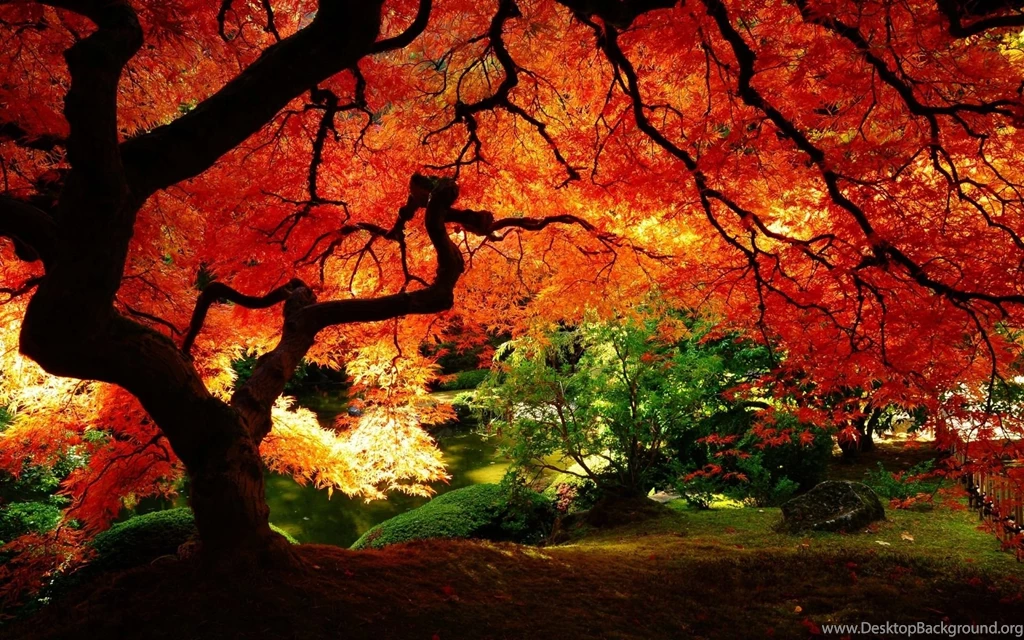 1920x1080px Scenic Wallpapers Free Download